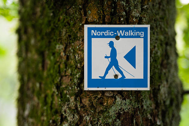 Nordic walking trail sign on tree bark outdoor fitness recreation activity marker forest hiking guide