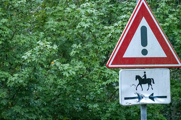 Warning for cyclists traffic sign next to the country road in summer.