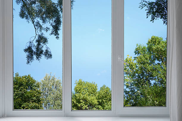 istock View from the window on the park, garden green trees. 2233553682