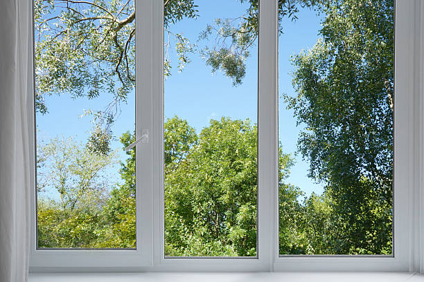 istock View from the window on the park, garden green trees. 2233553973