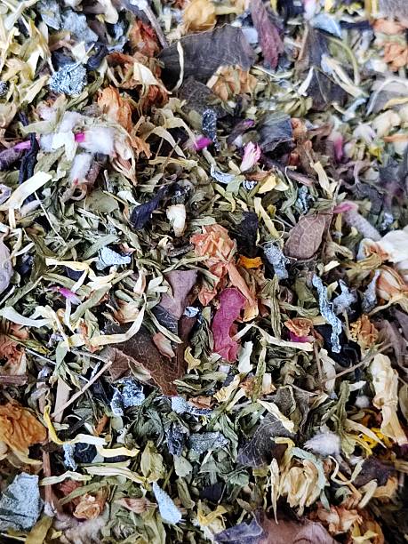 istock Taiwan Jewel Orchid Tea Leaf 2233556526