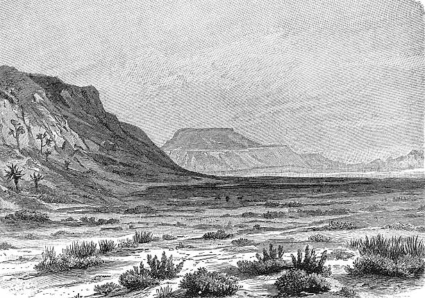 A semi-desert landscape in the Karoo region of South Africa, showing its characteristic scrub vegetation, rock formations, and vast open plains under dramatic skies, old vintage illustration, 1899.