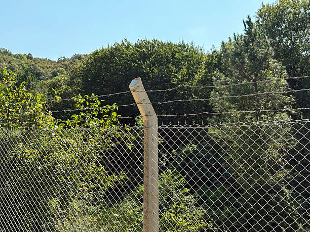 Barbed wire and wire netting fence in garden with trees and sky background