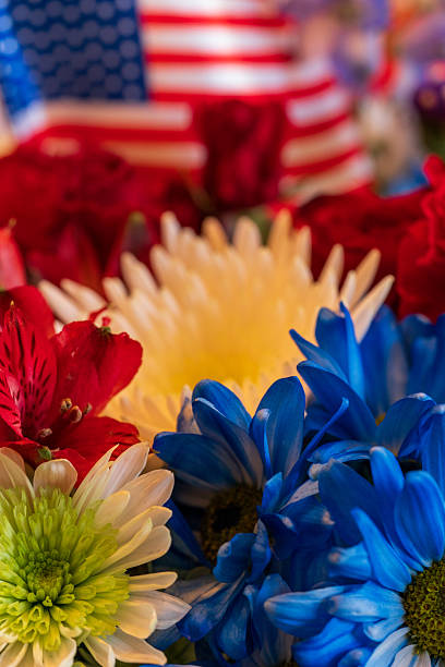 istock Patriotic Color Flowers 2233559969