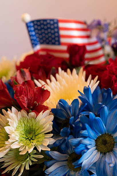 istock Patriotic Color Flowers 2233559989