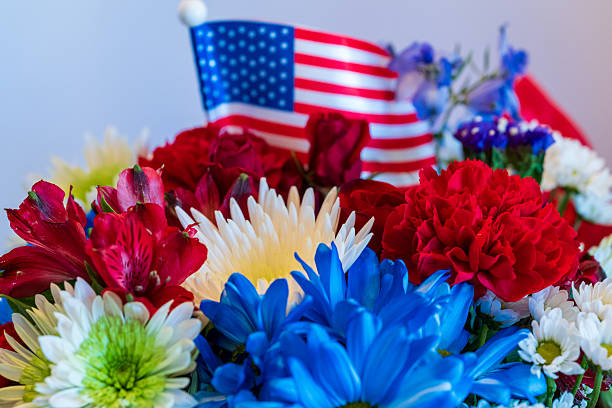 istock Patriotic Color Flowers 2233559992