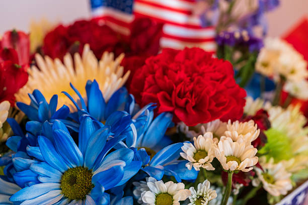istock Patriotic Color Flowers 2233560080