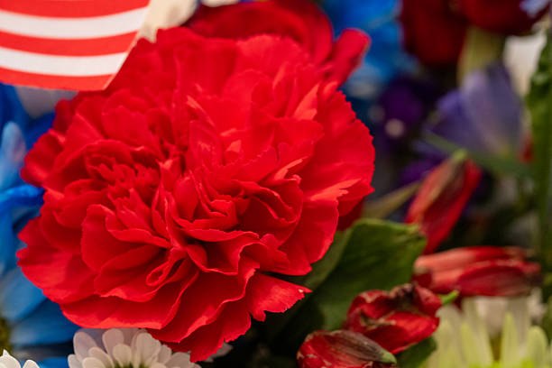istock Patriotic Color Flowers 2233560187
