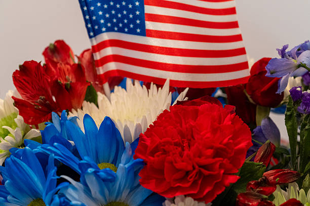 istock Patriotic Color Flowers 2233560350