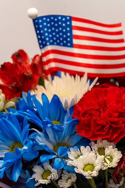 istock Patriotic Color Flowers 2233560425