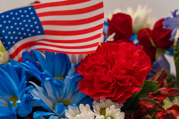 istock Patriotic Color Flowers 2233560452