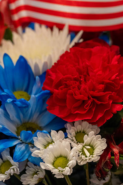 istock Patriotic Color Flowers 2233560475