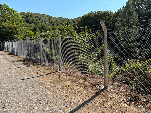 istock Barbed wire and wire mesh fence in forest 2233561436