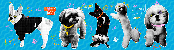 Halftone dogs in different poses with naive doodle elements. Contemporary collage for design template