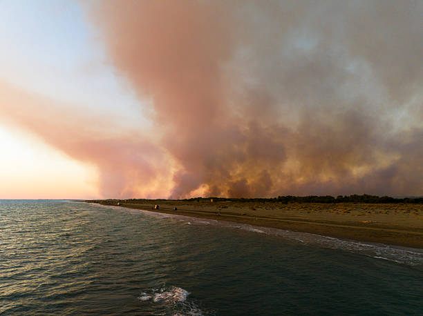 istock Albania Vlore, Narta lagoon, forest burning 2233564970