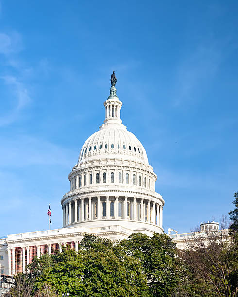 istock dome of the U.S. Capitol under blue sky. 2233565292