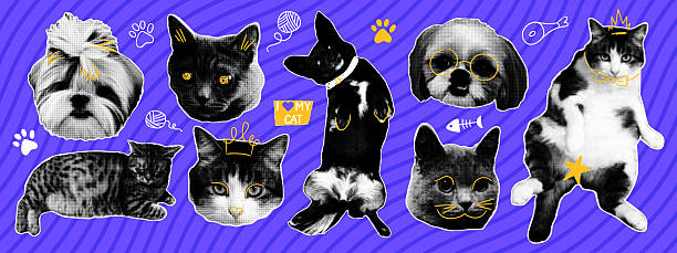 Retro punk halftone collage. Cat and dog set with naive doodle elements. Trendy elements in retro pop art style