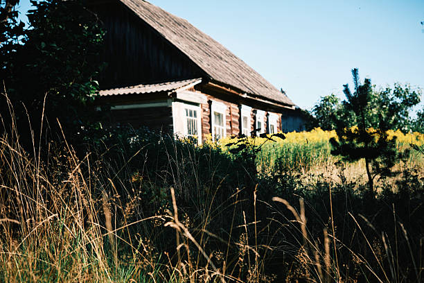 istock Abandoned village overgrown by wild grass and trees 2233568653