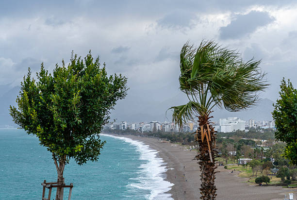 Palm trees swaying in the wind with storm clouds over Konyaalti Beach in Antalya, Turkiye