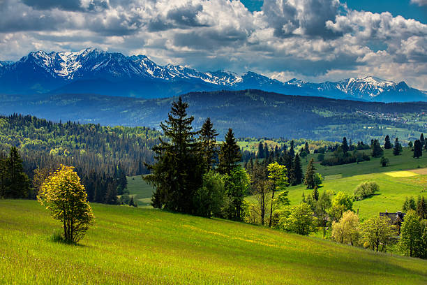 istock Mountain landscape with snow-capped peaks and lush greenery 2233575704