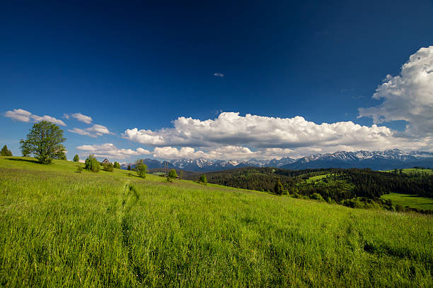 The majestic Tatra Mountains with snow-capped peaks and lush green forests and meadows, Poland