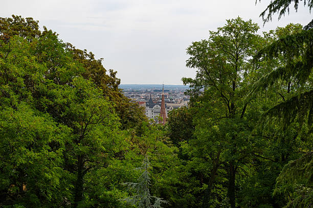The view of Budapest through the green trees.