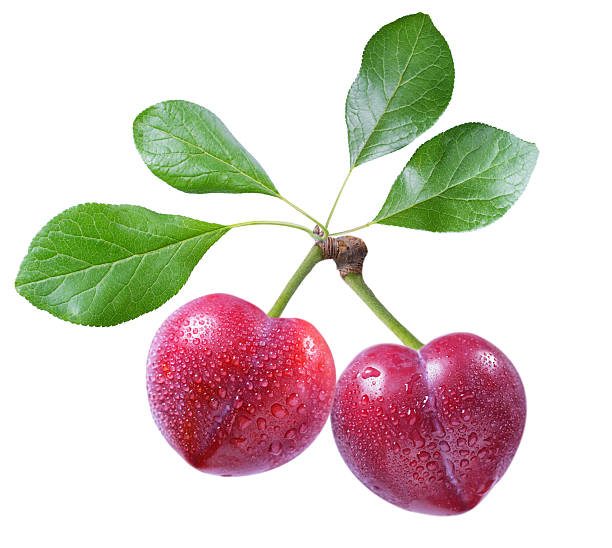 istock fresh ripe plums with leaves isolated on white background 2233578722