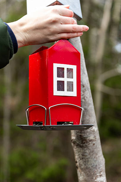 red, swedish cottage shaped bird feeder. female hand filling bird feeder with bird food