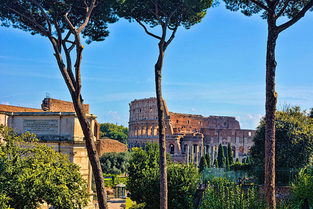 istock Roman Colosseum View Through Stone Pine Trees 2233583019