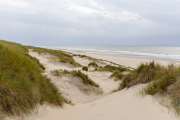 istock Serene coastal landscape featuring sandy dunes and lush grass, with a calm ocean under a cloudy sky, evoking tranquility and natural beauty 2233591565