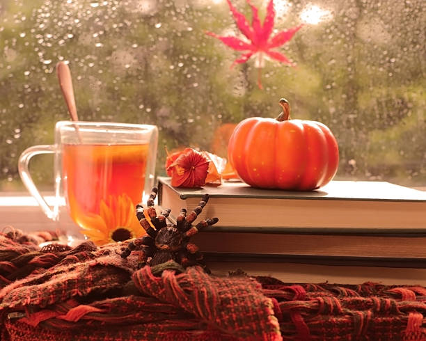 istock Fall Window Scene with Tea, Raindrops, Pumpkin and Seasonal Decor 2233594131