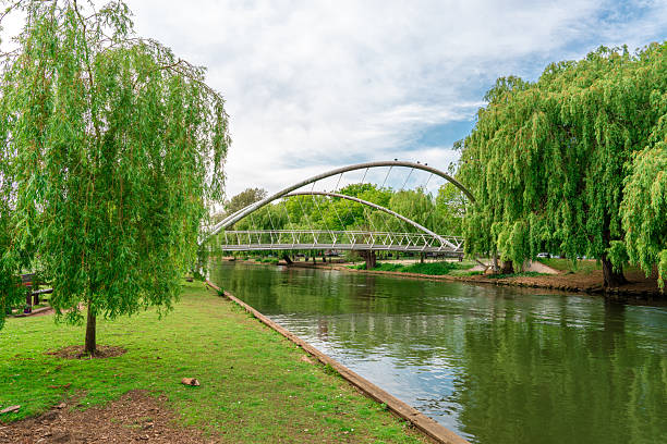 Adelaide, South Australia, Australia - March 24 2025; The Riverbank Precinct Bridge over the Torrens river with the Adelaide Oval in the distance