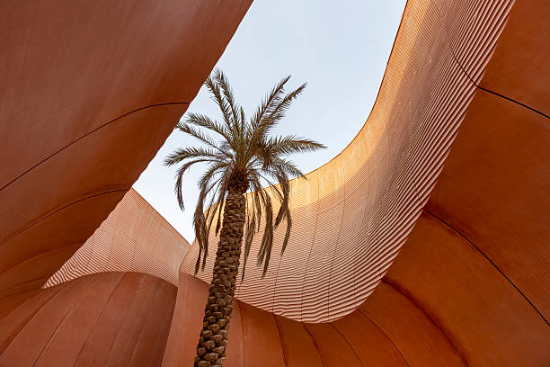 istock Palm tree in concrete structure in Masdar city, Abu Dhabi, UAE 2233599532