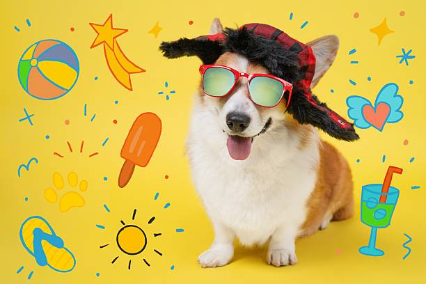 istock Cute corgi with sunglasses and hat on yellow background with summer elements 2233601356