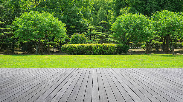 istock Empty wooden platform on green grass field with lush garden background 2233601468