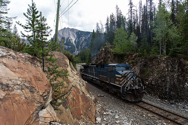 istock Cargo Train Passing Through Mountainous Forest Terrain on a Tranquil Overcast Day 2233608459