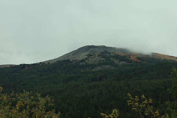 istock Foggy Mountain Landscape Surrounded by Lush Forest 2233613638