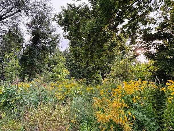 istock Washington Park in Milwaukee, Wisconsin 2233614772