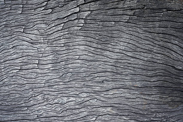 Explore the intricate patterns of weathered gray wood texture. This natural surface features unique lines and subtle variations, perfect for backgrounds or design elements.