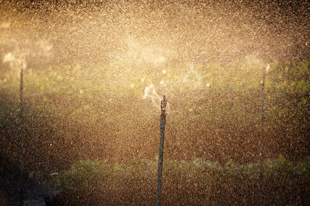 A close-up view of a sprinkler head installed in a grassy area. The sprinkler is positioned upright, surrounded by lush green grass, indicating a well-maintained lawn. The background is blurred, focusing on the sprinkler.
