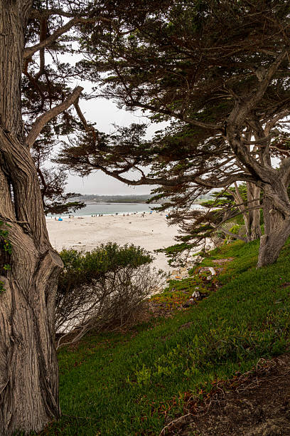 istock Cloudy Summer Day at Carmel Beach 2233620924
