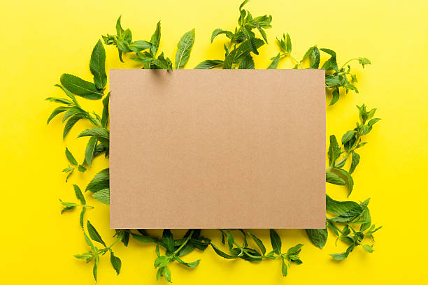 istock Wreath frame made of empty paper blank with space for text and mint leaves on colored background. . Mint Pattern. Flat lay. Top view 2233624107