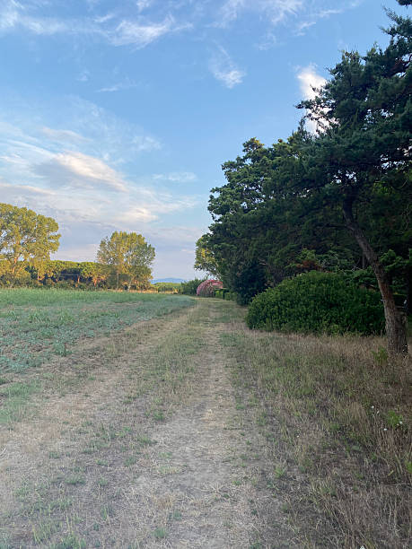 istock Rural path in the maremma countryside 2233628273