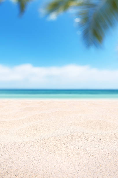 istock Empty tropical sand beach with palm leaves and sunny blue sky abstract background 2233629774