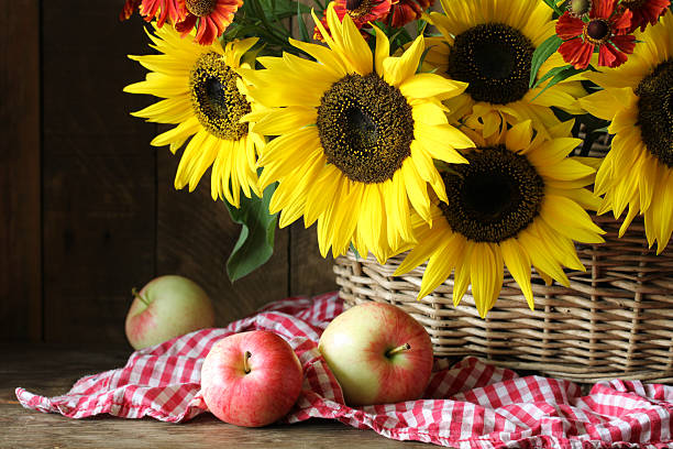 Sunflowers in a wicker basket and ripe apples resting on a checkered cloth evoke the warmth and abundance of autumn