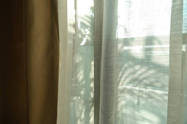 istock The shadow of the curtain is a burnt leaf pattern. 2233635936