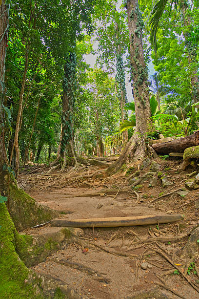 istock A serene path leading to the Mission Lodge gazebo and  viewpoint 2233638418