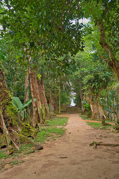 istock A serene path leading to the Mission Lodge gazebo and  viewpoint 2233639122