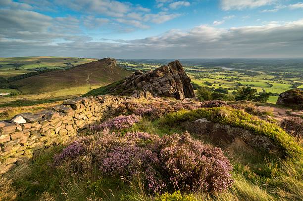 istock Blooming Heather at the Roaches 2233639201