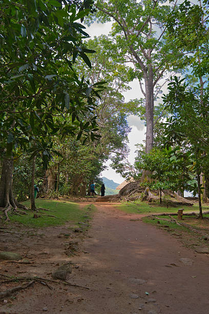 istock A serene path leading to the Mission Lodge gazebo and  viewpoint 2233639993